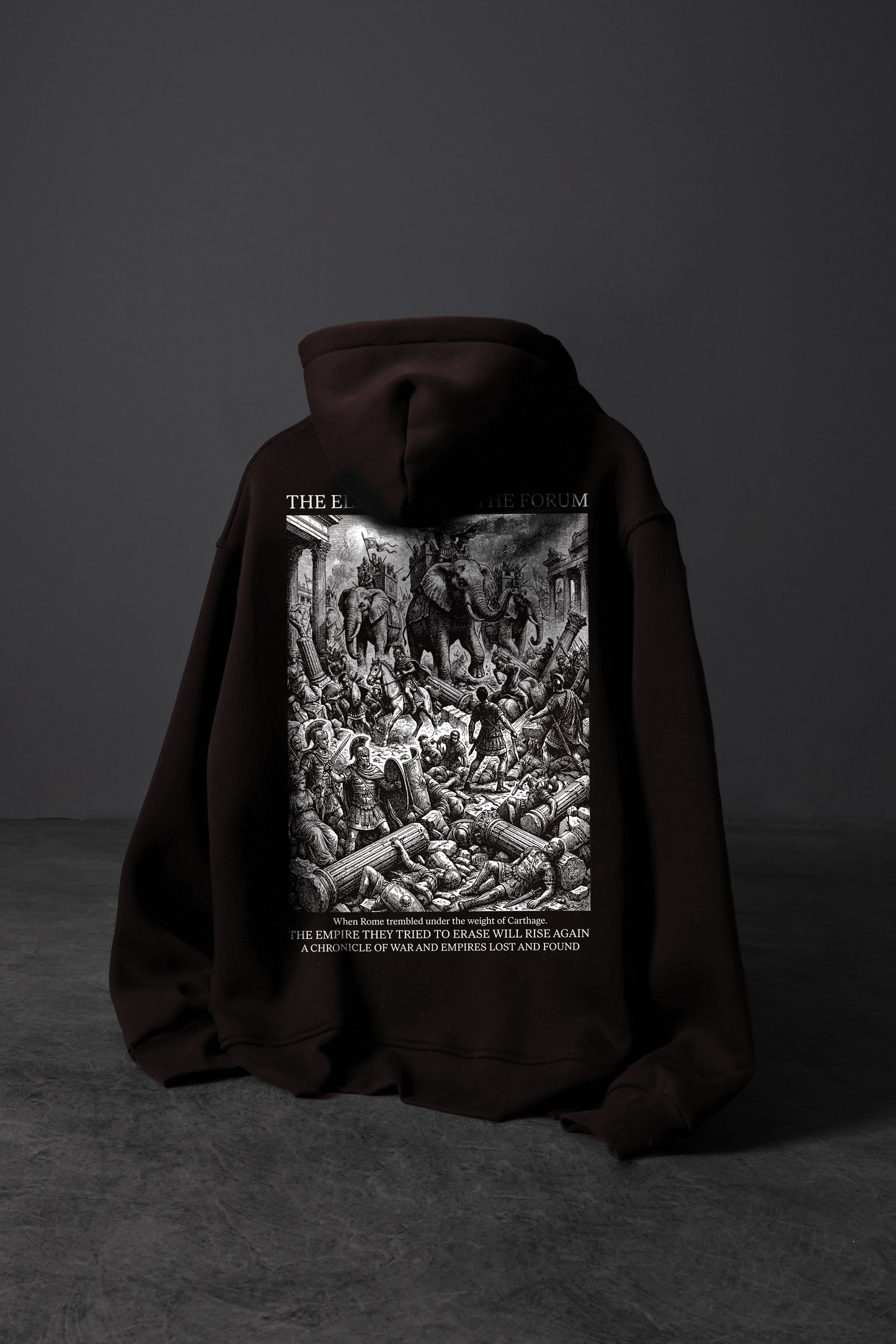" Elephants in the Forum " Oversized Hoodie