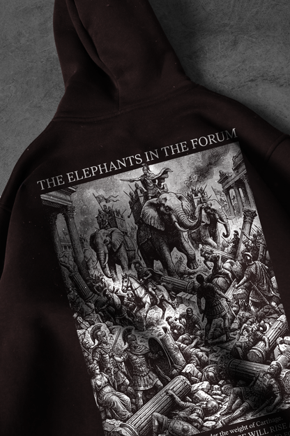 " Elephants in the Forum " Oversized Hoodie